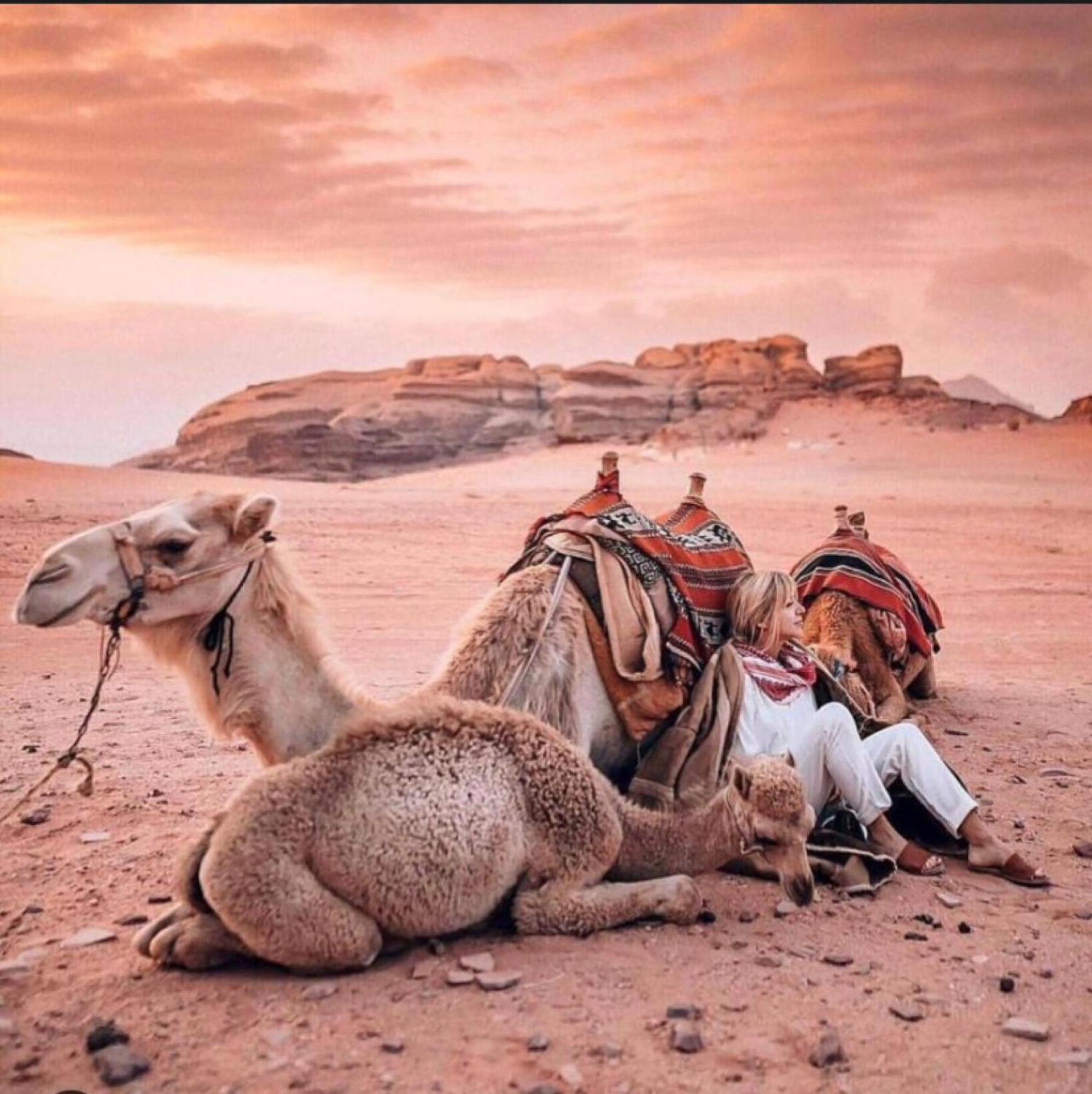 Wadi Land Mars Country house